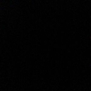 Meet your Posher, Abigail